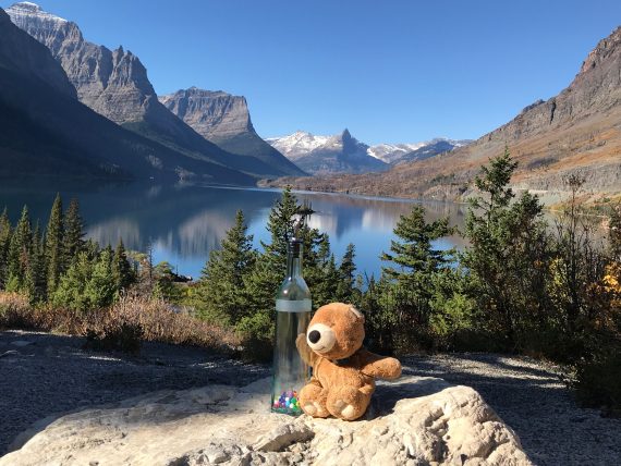 Teddy Bear at St Mary Lake