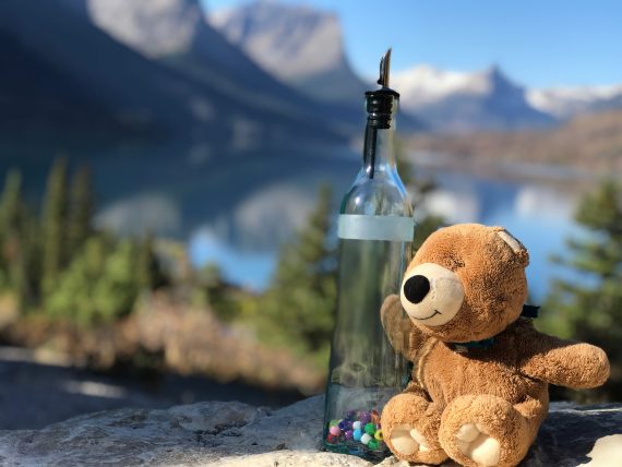 Teddy Bear at St Mary Lake