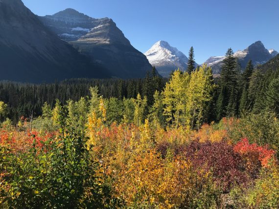 Glacier National Park in September