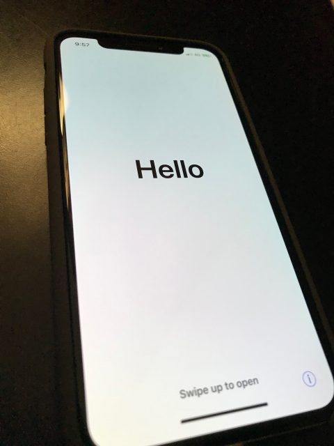 iPhone X