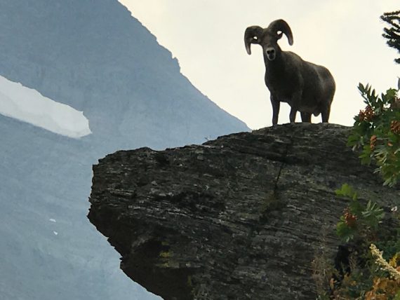 Glacier National Park