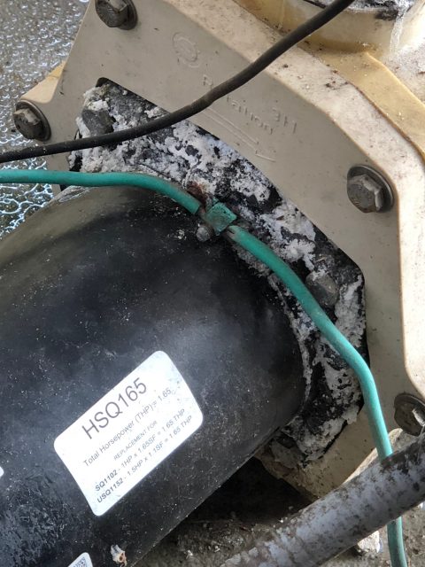 Florida pool pump