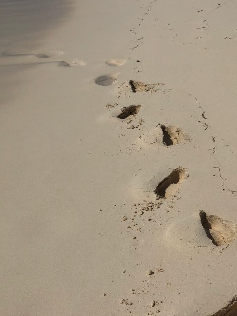 Cozumel beach