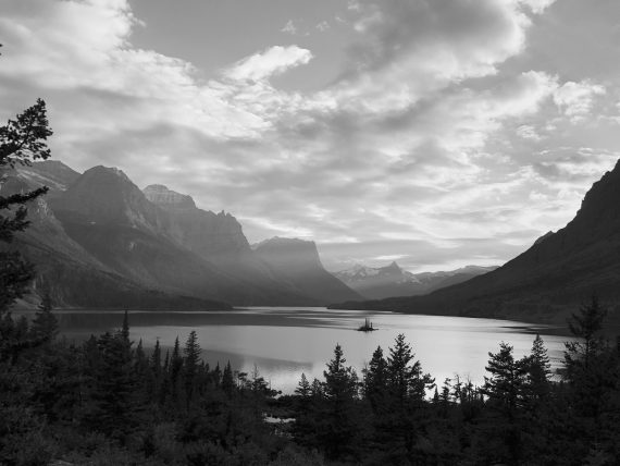 Wild Goose Island black and white