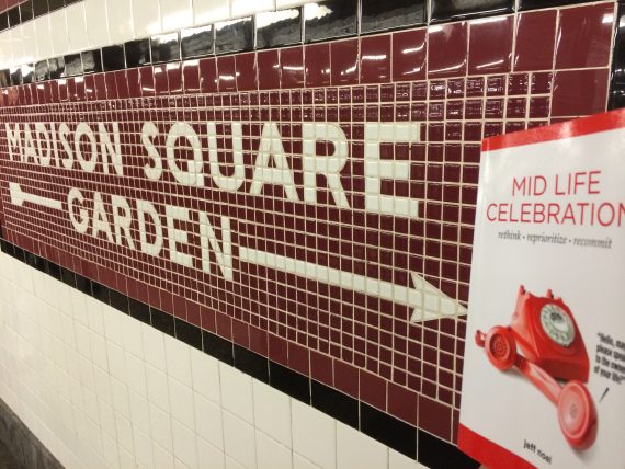 Mid Life Celebration book