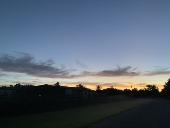 Orlando at dawn