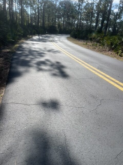 road with tree shadows