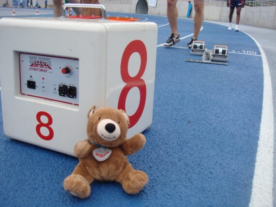 Teddy Bear at Track Lane 8