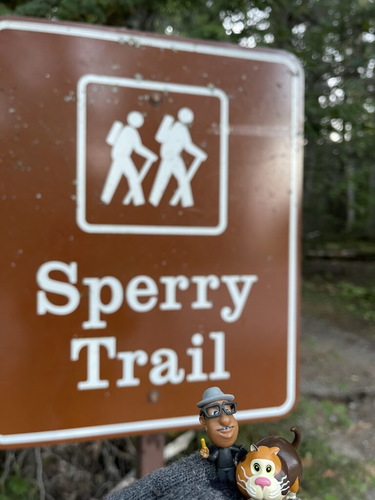 Hiking Trail sign and two small Disney toys from Pixar Soul