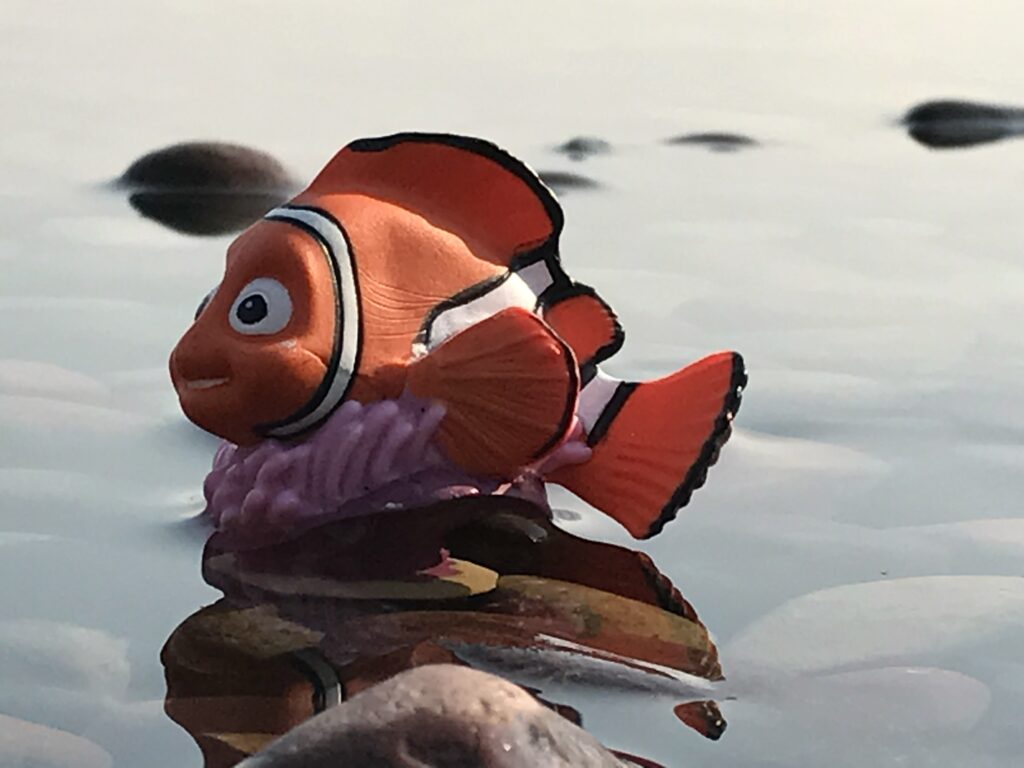 Nemo toy on lake shore