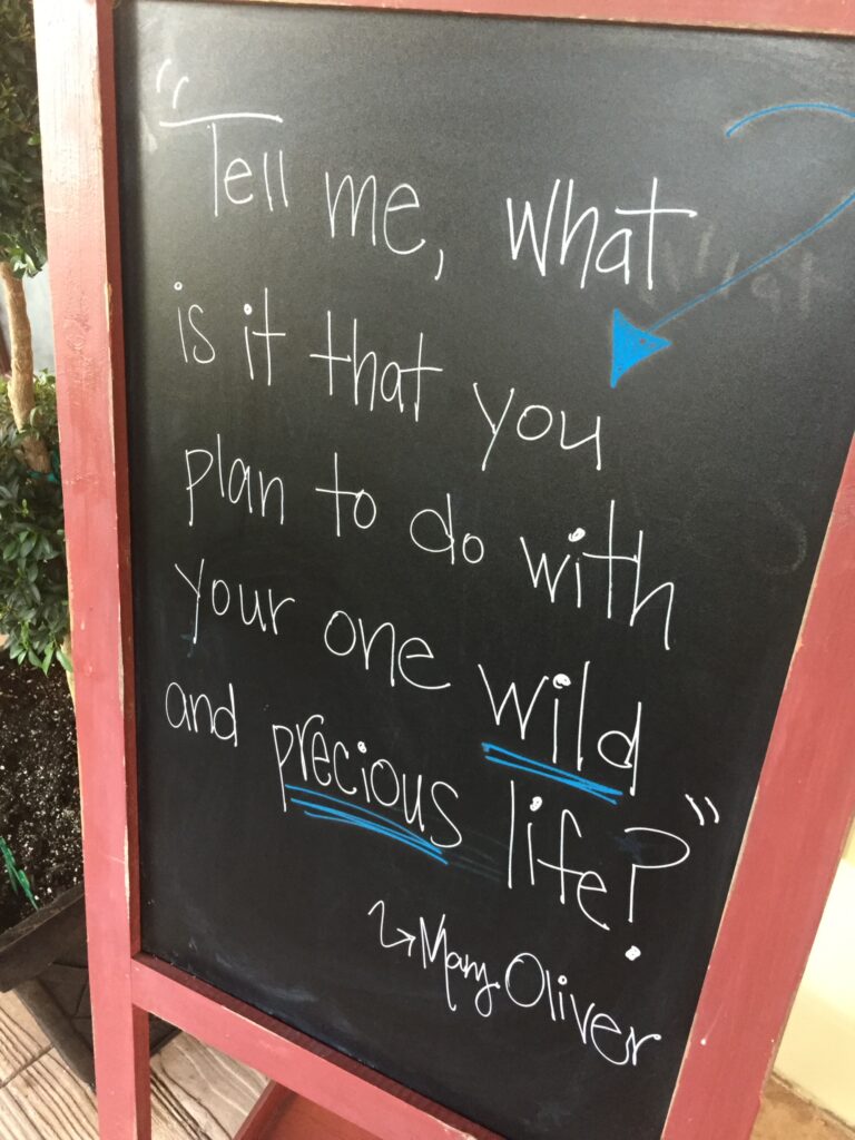 sandwich board chalk message