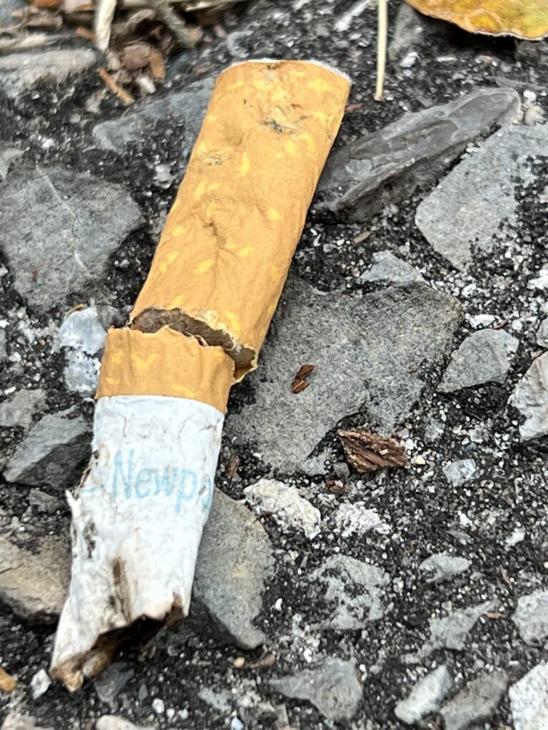cigarette butt on ground