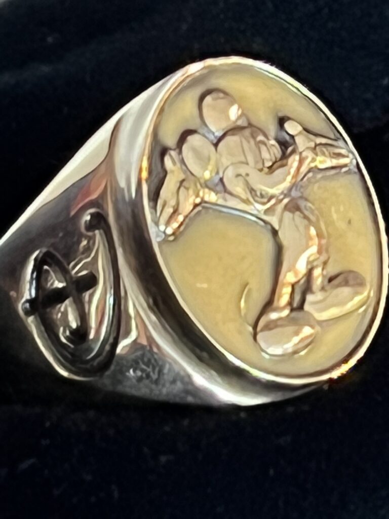 Disney Cast member 20 years of service men's ring