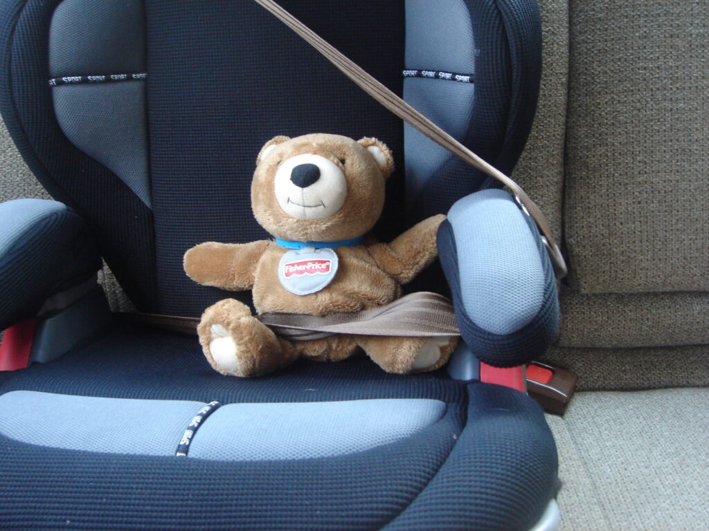 teddy bear in car seat