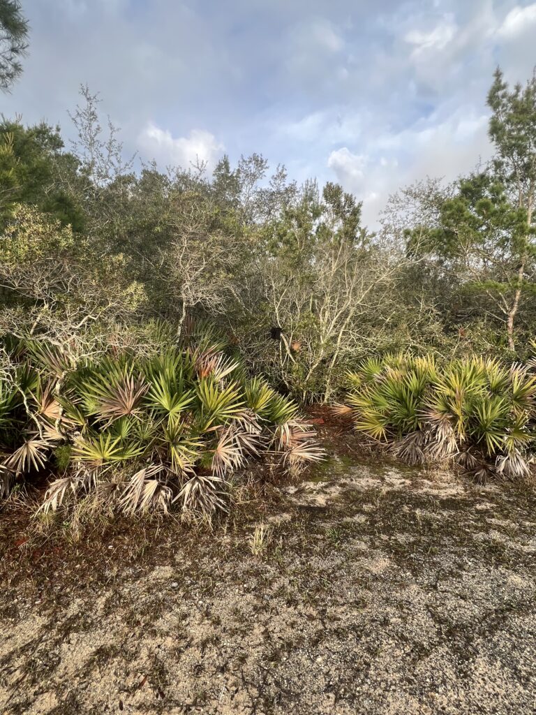 Florida nature preserve