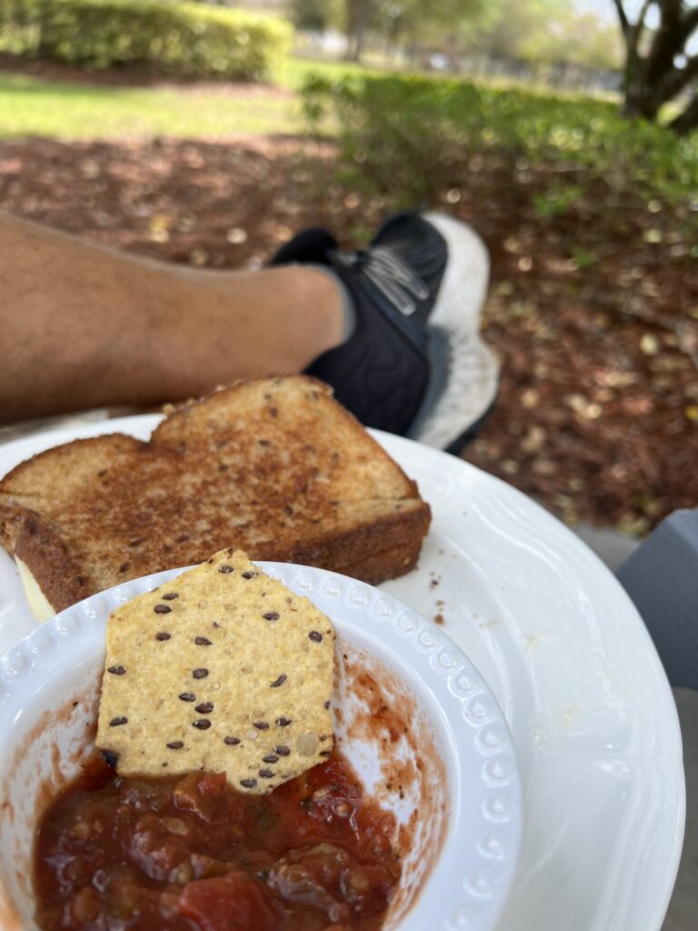 lunch plate on person's lap