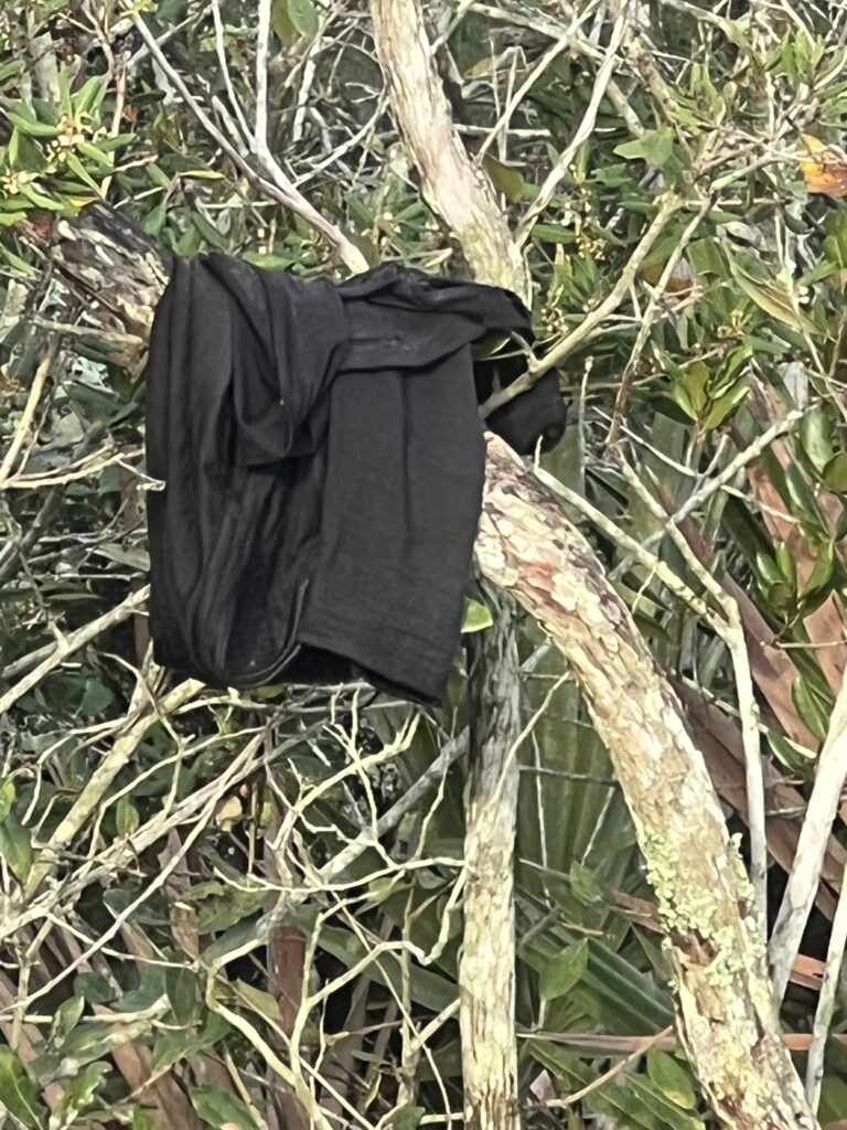 t-shirt hanging on a branch