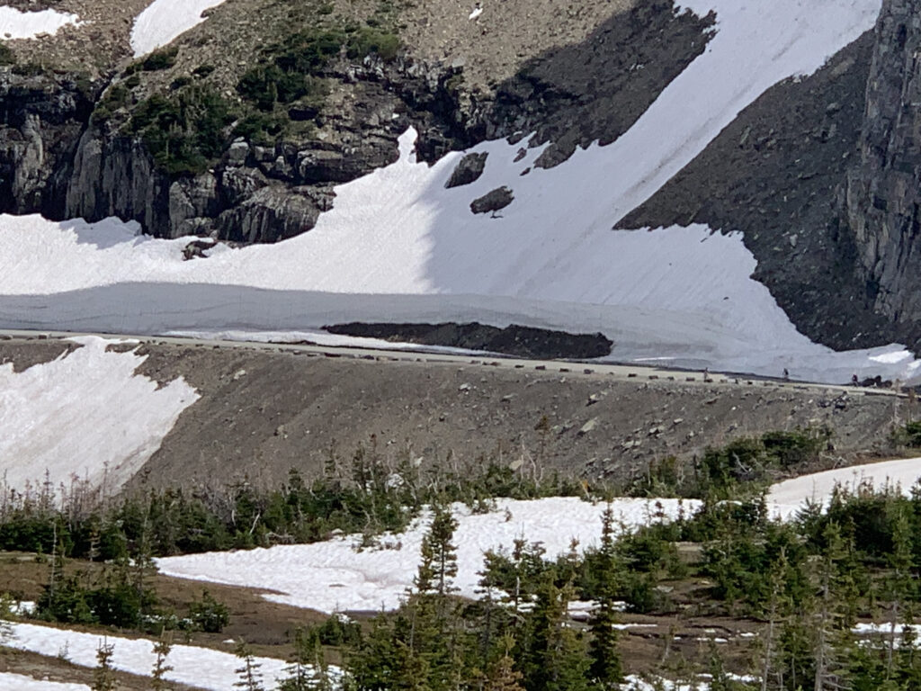 Glacier's main road open to bikers